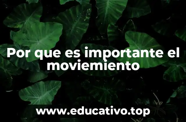 Por que es importante el moviemiento