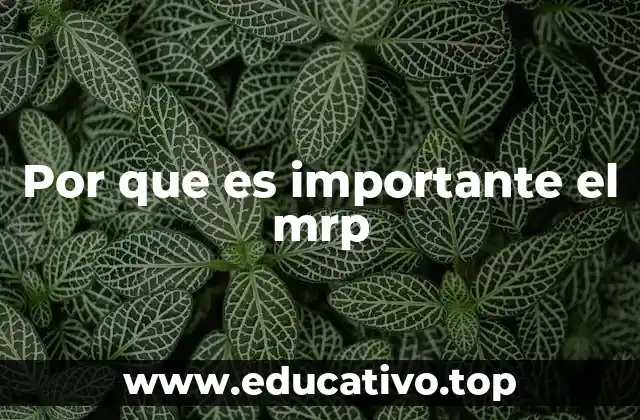 Por que es importante el mrp