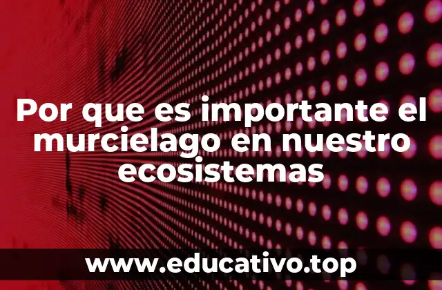 Por que es importante el murcielago en nuestro ecosistemas