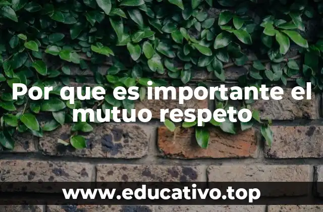 Por que es importante el mutuo respeto