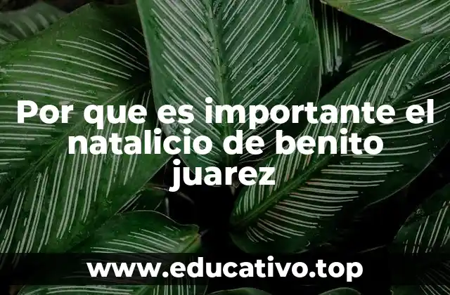 Por que es importante el natalicio de benito juarez