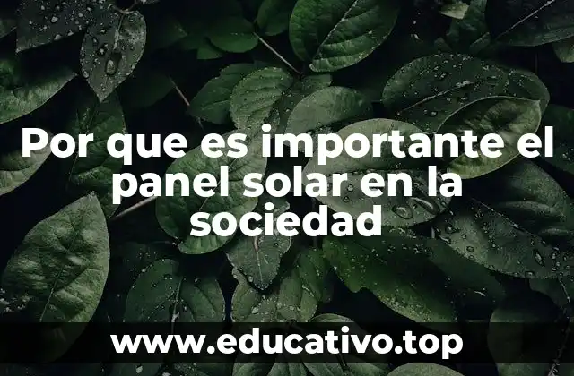 Por que es importante el panel solar en la sociedad