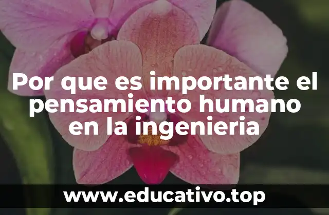 Por que es importante el pensamiento humano en la ingenieria