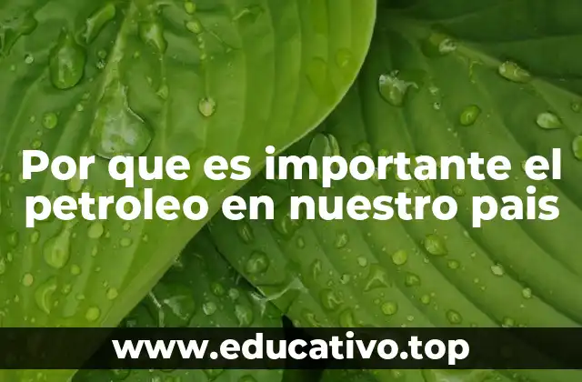 Por que es importante el petroleo en nuestro pais