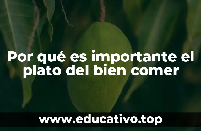 Por qué es importante el plato del bien comer
