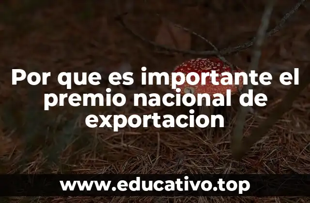 Por que es importante el premio nacional de exportacion