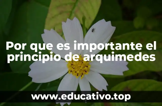 Por que es importante el principio de arquimedes
