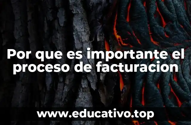 Por que es importante el proceso de facturacion