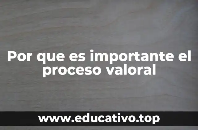 Por que es importante el proceso valoral