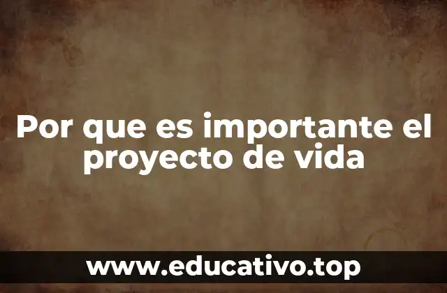 Por que es importante el proyecto de vida