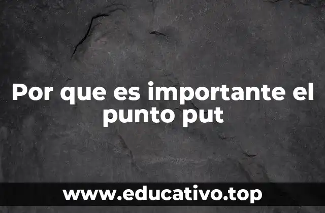 Por que es importante el punto put