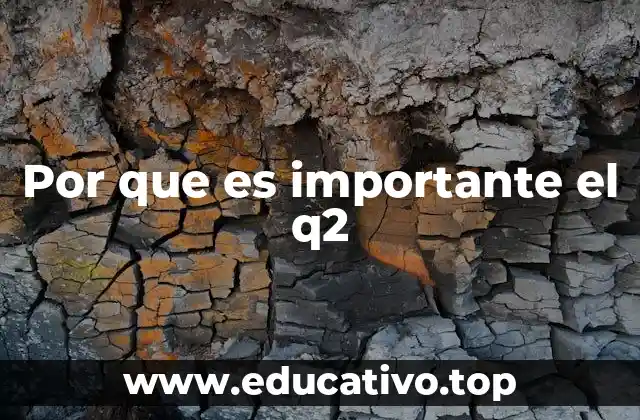 Por que es importante el q2