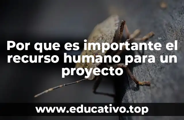 Por que es importante el recurso humano para un proyecto