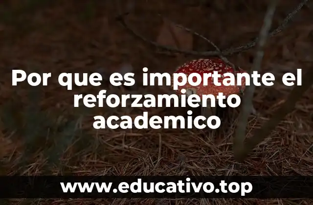 Por que es importante el reforzamiento academico