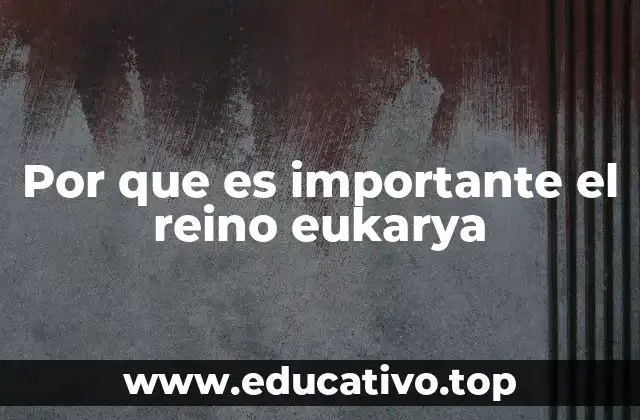 Por que es importante el reino eukarya