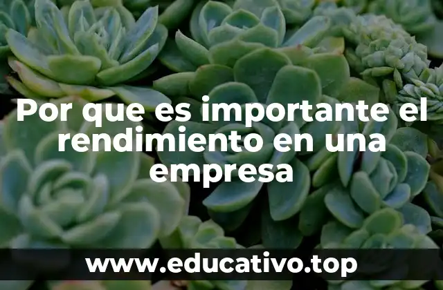 Cómo el desempeño eficiente impacta en la competitividad empresarial