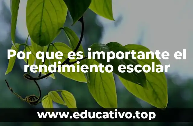 Por que es importante el rendimiento escolar