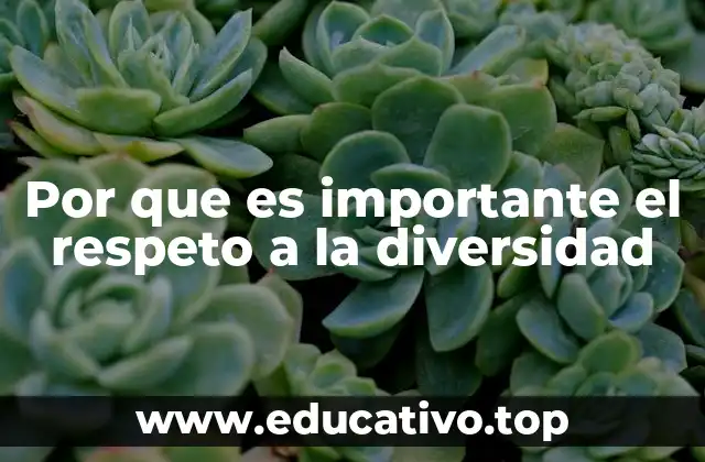 Por que es importante el respeto a la diversidad