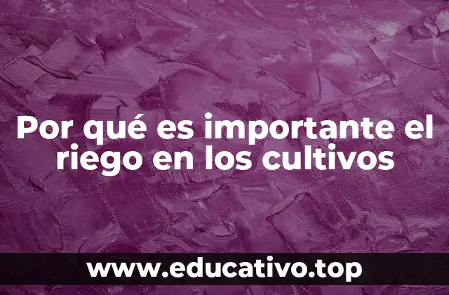 Por qué es importante el riego en los cultivos