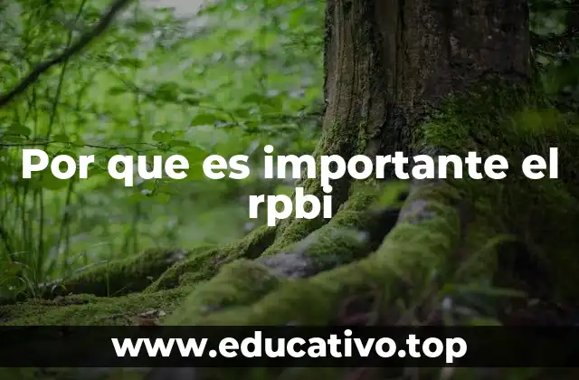 Por que es importante el rpbi