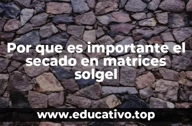 Por que es importante el secado en matrices solgel