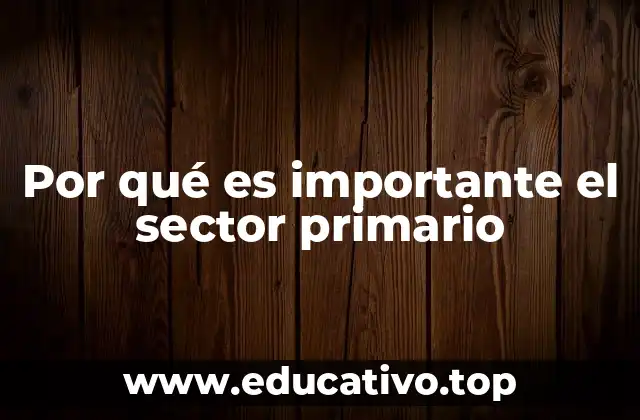 Por qué es importante el sector primario