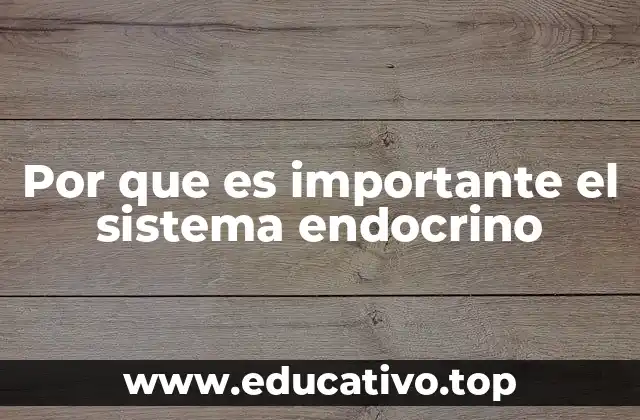 La red química que mantiene el cuerpo en equilibrio