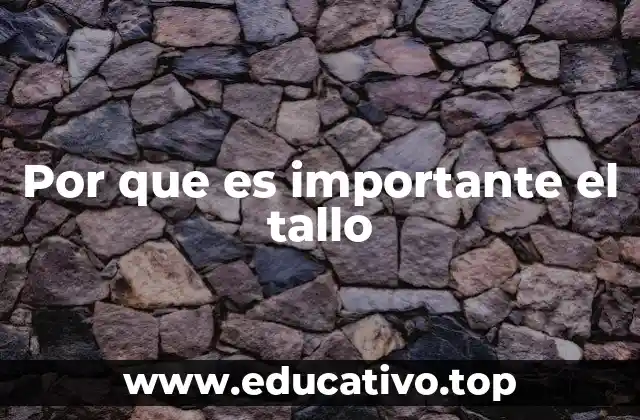 Por que es importante el tallo