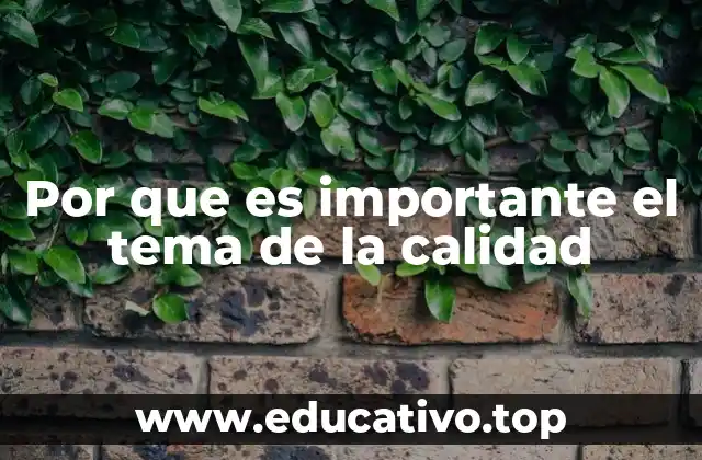 Por que es importante el tema de la calidad