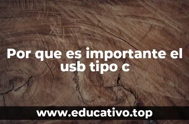 Por que es importante el usb tipo c