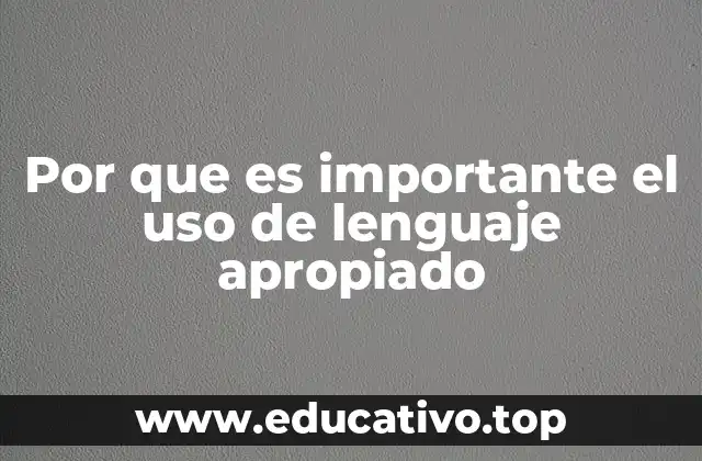 Por que es importante el uso de lenguaje apropiado