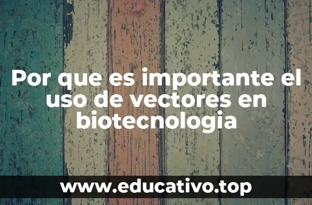 Por que es importante el uso de vectores en biotecnologia