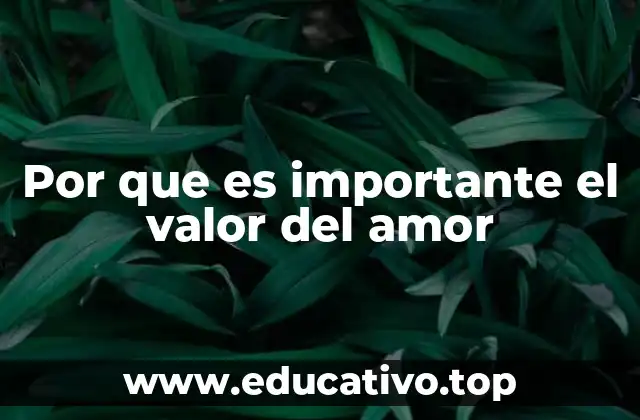 Por que es importante el valor del amor