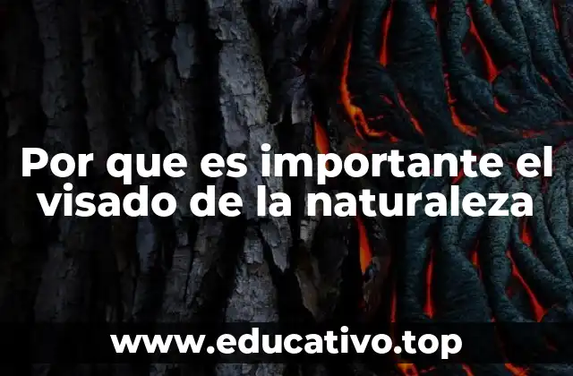 Por que es importante el visado de la naturaleza