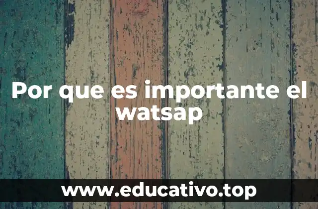 Por que es importante el watsap
