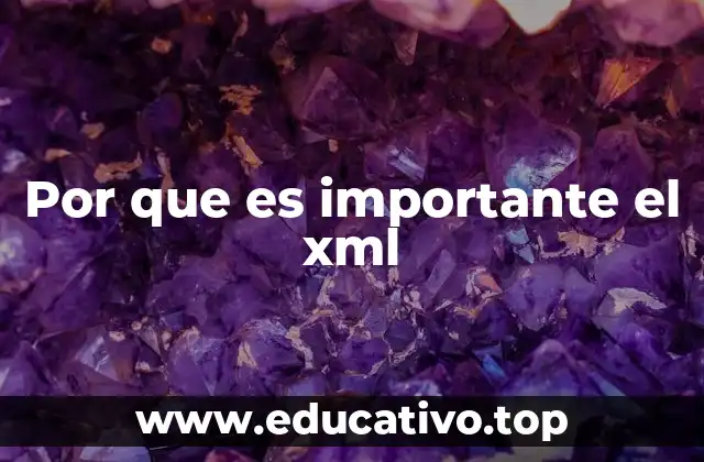 Por que es importante el xml
