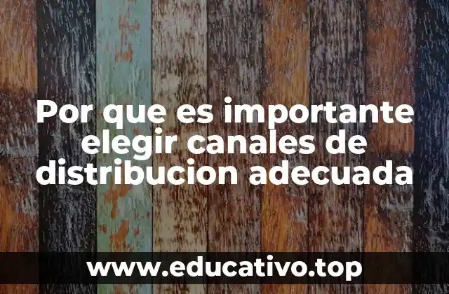 Por que es importante elegir canales de distribucion adecuada