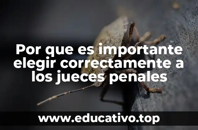 Por que es importante elegir correctamente a los jueces penales