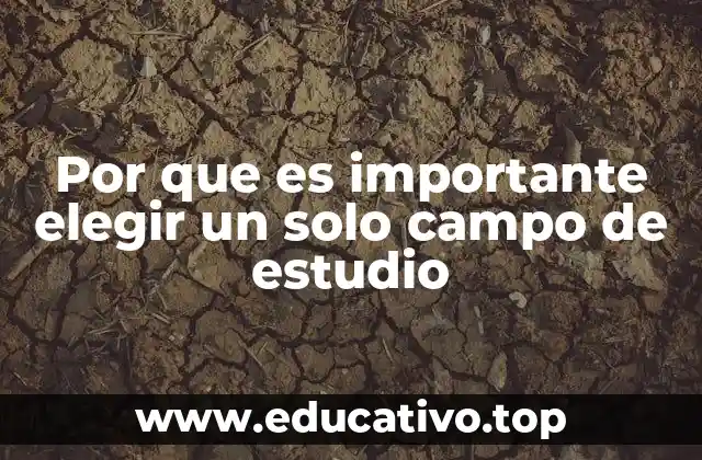 El impacto de una formación enfocada en el desarrollo personal