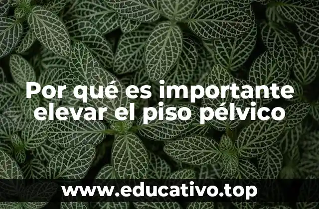Por qué es importante elevar el piso pélvico