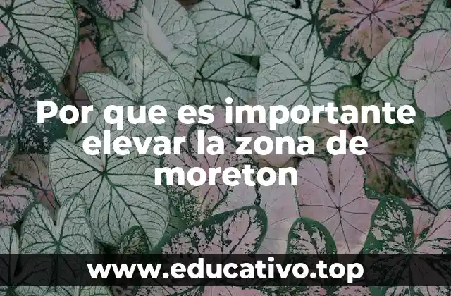 Por que es importante elevar la zona de moreton
