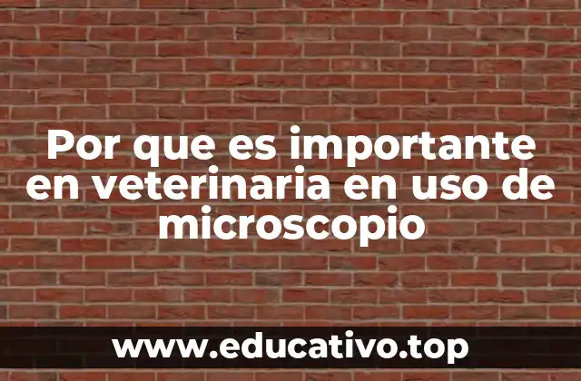 Por que es importante en veterinaria en uso de microscopio