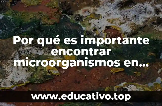 Por qué es importante encontrar microorganismos en aparatos electrónicos