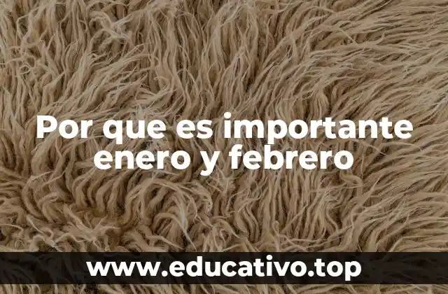 Por que es importante enero y febrero