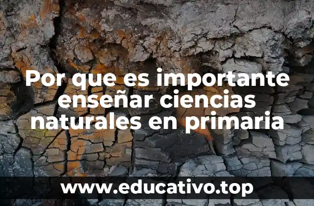 Por que es importante enseñar ciencias naturales en primaria