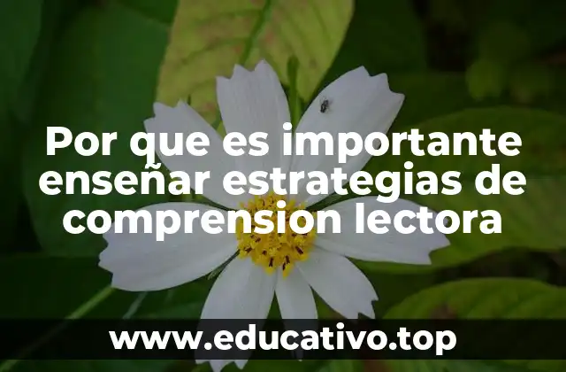 Por que es importante enseñar estrategias de comprension lectora