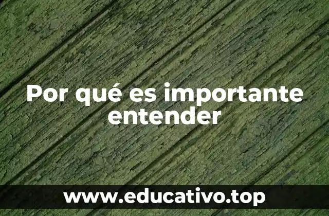 Por qué es importante entender