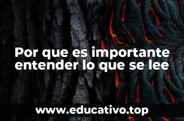 Por que es importante entender lo que se lee
