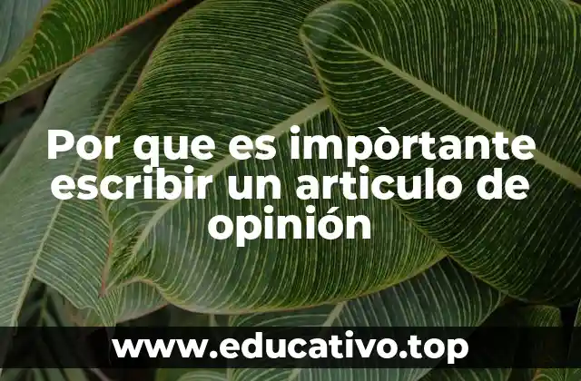 Por que es impòrtante escribir un articulo de opinión