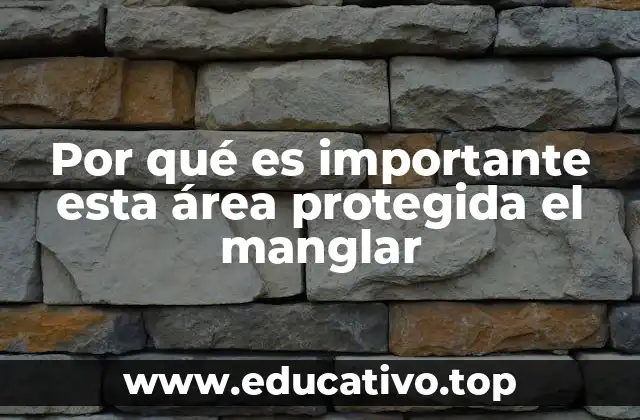 Por qué es importante esta área protegida el manglar